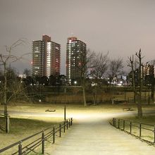 公園と高層マンションとの風景