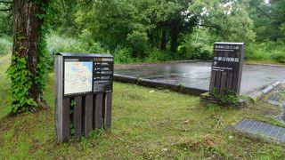 朝の散策、森林浴。