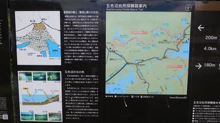 見どころたっぷり、五色沼を余すところなく楽しめます