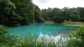 青い！！さすが青沼です。