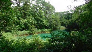 赤・・・くはないよね、赤沼。