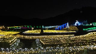 こじんまりとしたイルミネーション