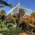 ピッツバーグの寒い季節も快適な植物園！