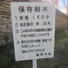 保存樹を示す看板の様子