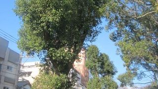 脇役達にも要注目！