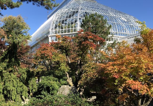 フィップス温室植物園