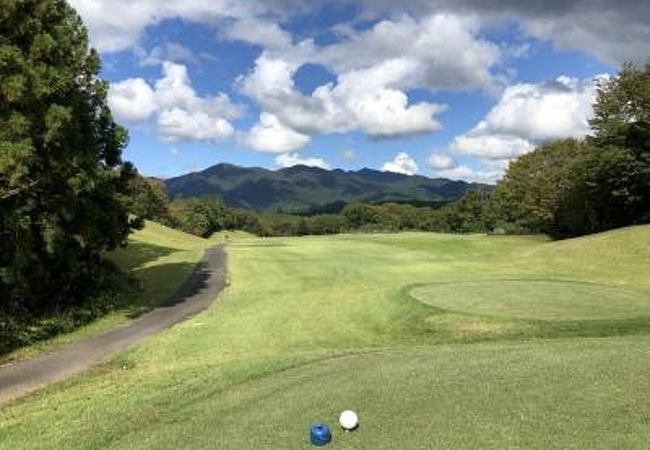 距離がしっかりあります。