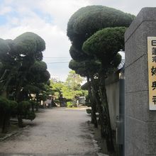 裏手の門からも松並木が続いていました