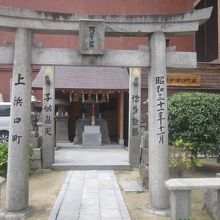 鳥居越しに眺めた本殿の様子