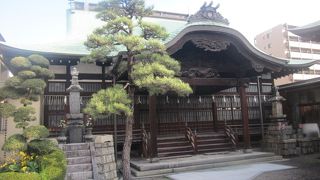 本岳寺、の文字はあまり目立っていませんでした