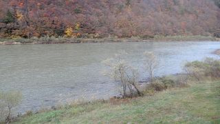 最上川と紅葉を堪能