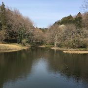 大きな自然公園