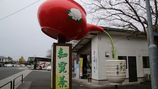 駐車場脇に観光案内所もあります。