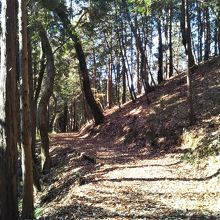 稜線に出ると、落ち葉にうもれたサイクリングロードに出ます。