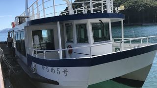 海鳥がたくさん襲ってきます