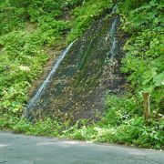 すそ野が広がっています