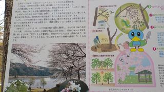 桜の季節がおススメです