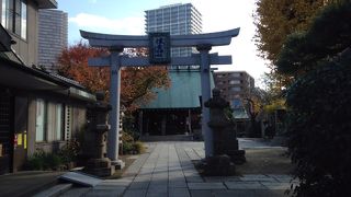 大阪の佃から来た