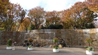 人も少なく快適な散策でした