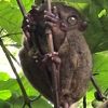 いろんな意味で小さい
