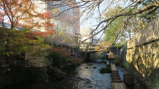 気持ちのいい散策路