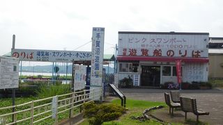 スワンボートに乗りました！