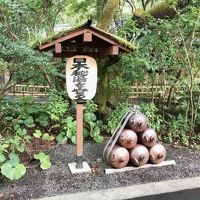 最高の泉質です