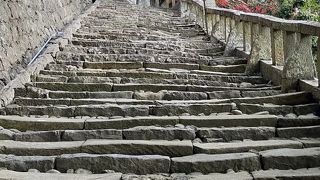 久能山東照宮へ歩いて上るための石段は本殿まで1159段あります。