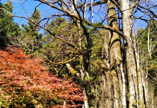 軍刀利神社