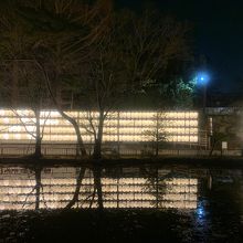氷川神社の神池の夜景