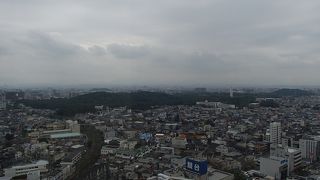 大仙古墳（仁徳天皇陵）がバッチリ見えるかと思いましたが...