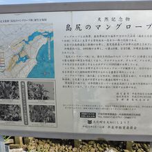 マングローブ林の案内板