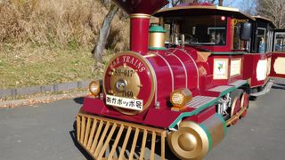 大人から子供までのんびり遊べる