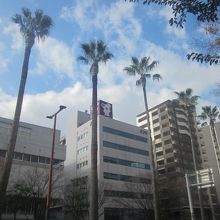 こういう南国テイストも北海道民には新鮮に感じます