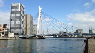 中央区佃と新川を結ぶ斜張橋