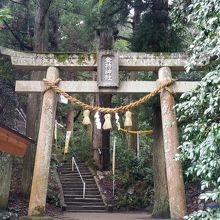 金持神社　鳥居