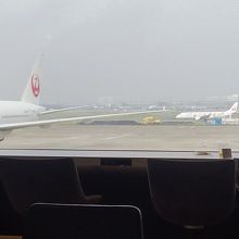 大きな窓からはたくさんの飛行機を見ることができました