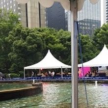 緑もあり、水もあり、癒されました。