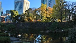 周りの紅葉が綺麗でした