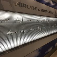 飛行機展示