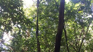 墾丁森林遊楽区 