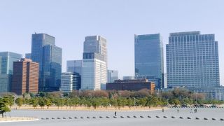 (皇居外苑)　非常に広大で、都心でぽっかり空いた空間みたいです