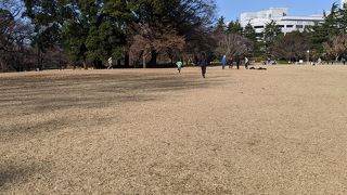 家族連れが多い