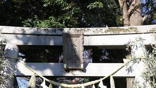 戸越公園駅から歩いて出かけよう