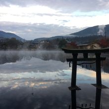 朝霧です。