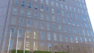 ベンチが温暖化防止の役割も果たしています