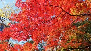 都心とは思えない静けさ