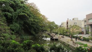 森の中の緑の池や湖のような雰囲気させ感じることが出来ました。