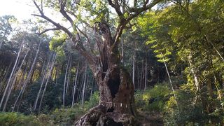 御朱印が見開きで豪華