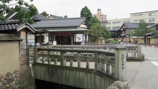 写真撮影の時に絶好のアクセントになりました。